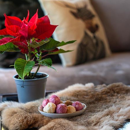 Livadi Cozy Villa 阿拉霍瓦 外观 照片